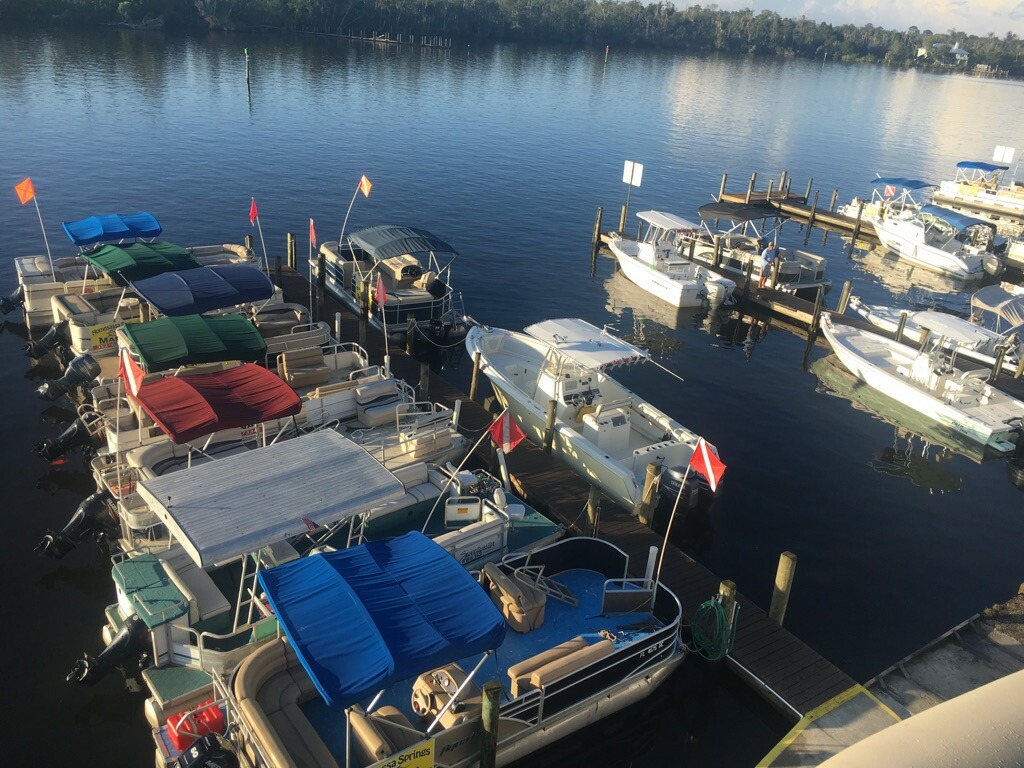 boats stored in wetslips